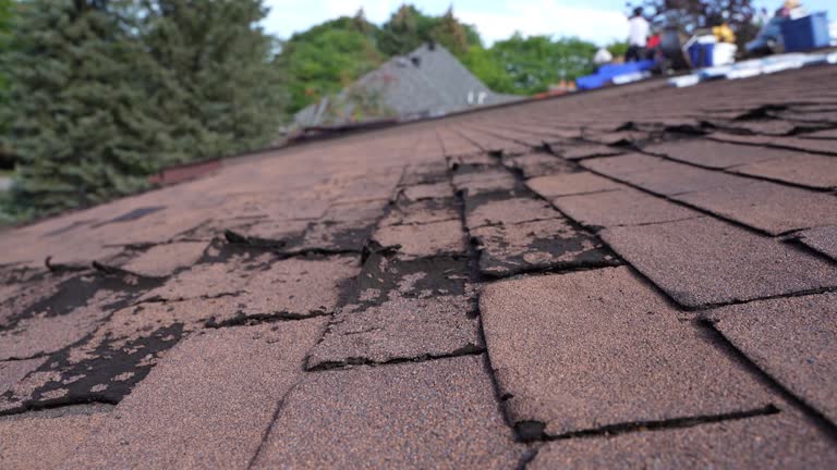 Best Roof Ventilation Installation  in Decatur, IL