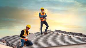 Best Roof Moss and Algae Removal  in Decatur, IL